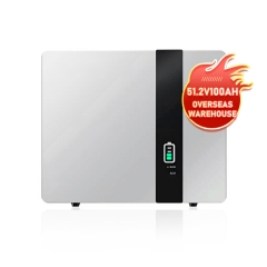 Solar Lithium Ion Energy Storage Battery 51.2V 100ah Lifepo4 Power Wall Mounted Batteries for Home Off-Grid System
